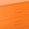 Lipasto oranssi 80x35x101,5 cm teräs