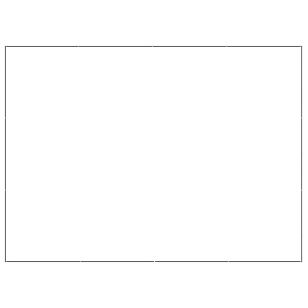 Koiranhäkki hopea 12 m² teräs