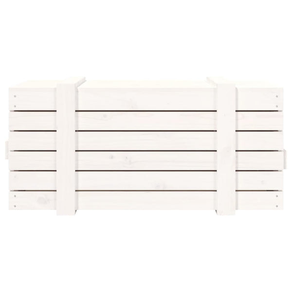 Valkoinen säilytyslaatikko Norris 91x40,5x42cm (mänty)