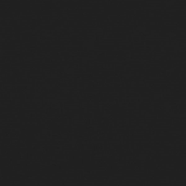 Puutarhatuolit tyynyillä 2 kpl harmaa täysi mänty