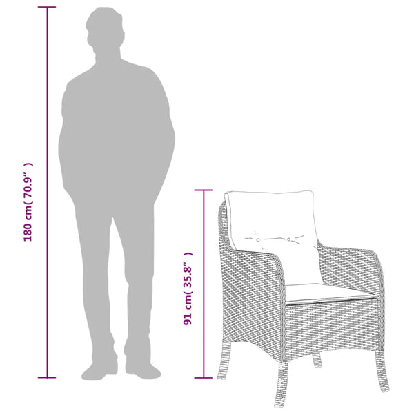 Puutarhatuolit pehmusteilla 2 kpl beige polyrottinki