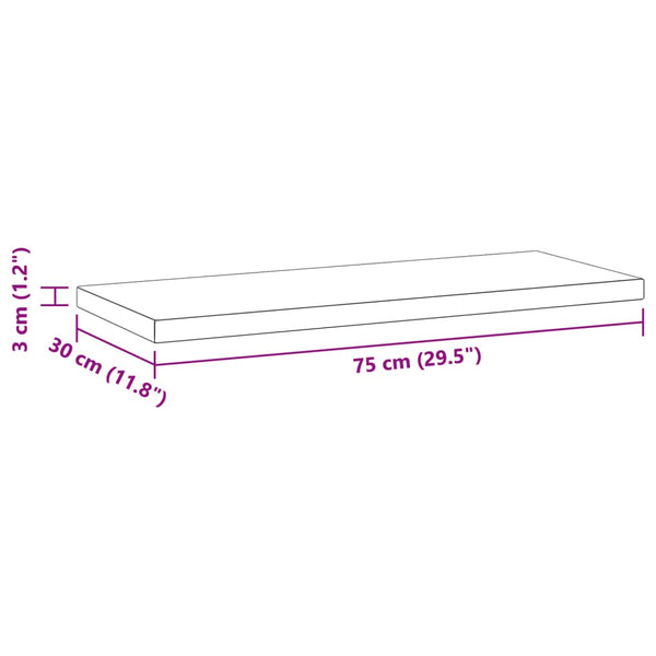 Seinähyllyt 2 kpl 75x30x3 cm hopea ruostumaton teräs