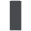 Kaappi antrasiitti 67x39x95 cm teräs