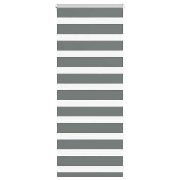 Seepra rullaverho Jostina 60x100cm (kankaan leveys 55,9 cm polyesteri)