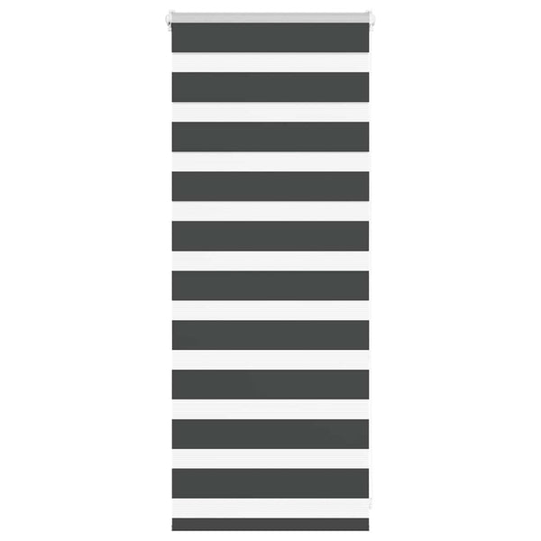 Seepra rullaverho Jostina 60x100cm (kankaan leveys 55,9 cm polyesteri)