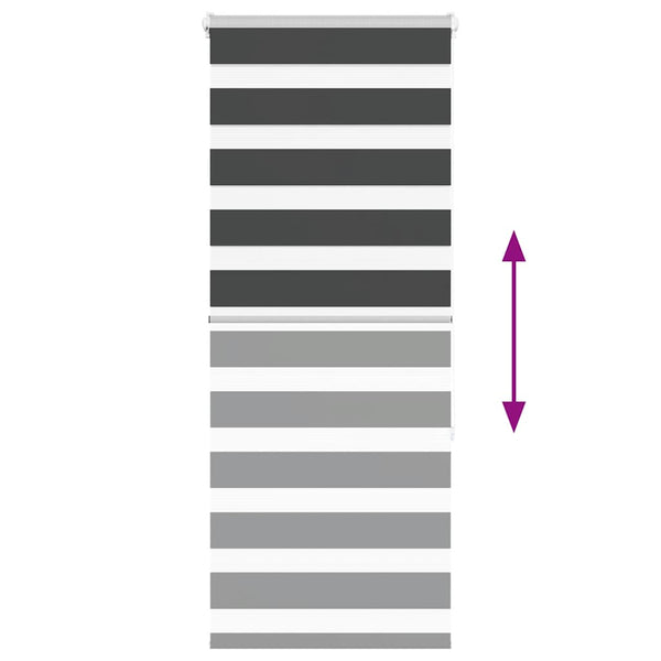 Seepra rullaverho Jostina 60x150cm (kankaan leveys 55,9 cm polyesteri)