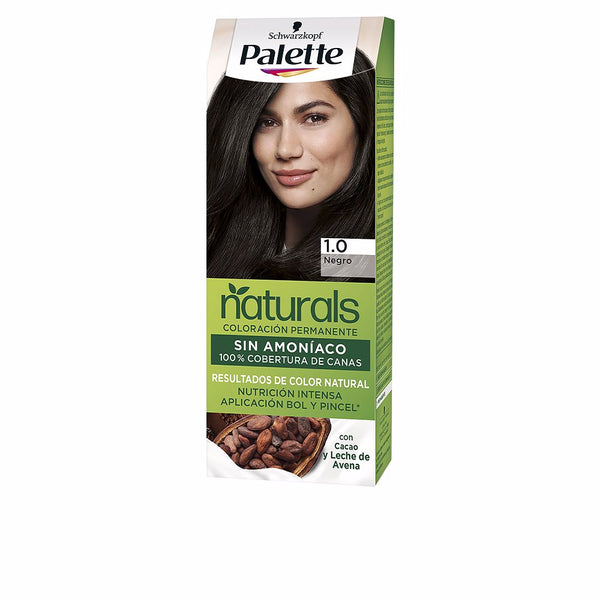 Palette natural väriaine #1.0-musta 1 kpl - PALETTE