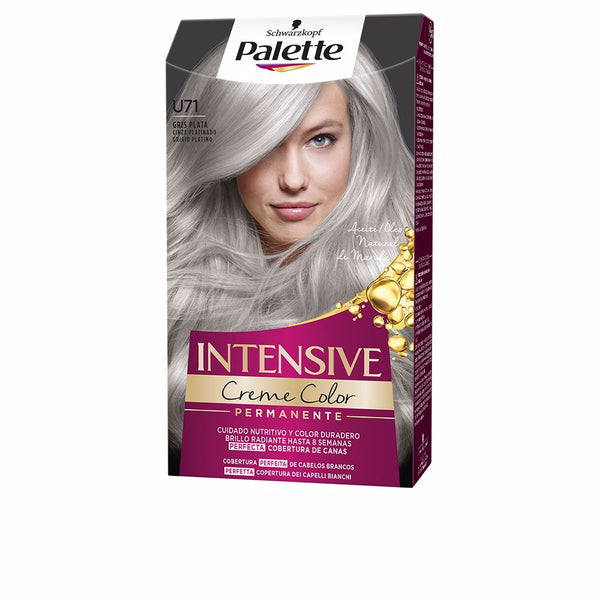 Palette Intensive Dye #U71-Silver Gray