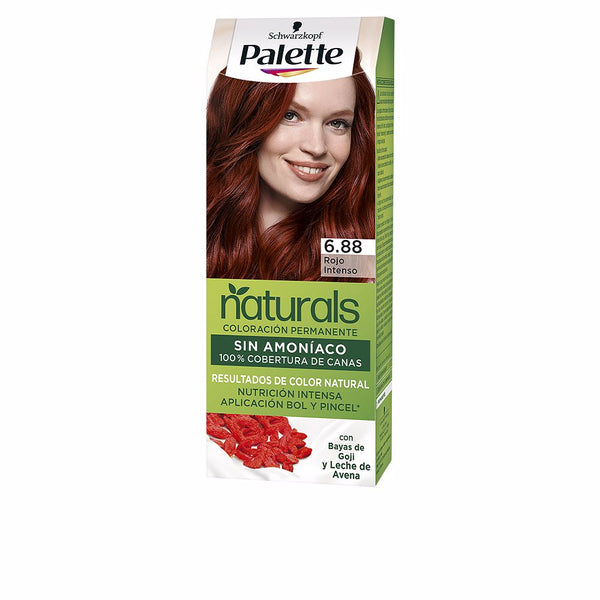 Palette natural väri #6.88-intensiivinen punainen 1 kpl - PALETTE