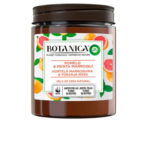 Botanica candle greippi & minttu 205 gr - AIR-WICK