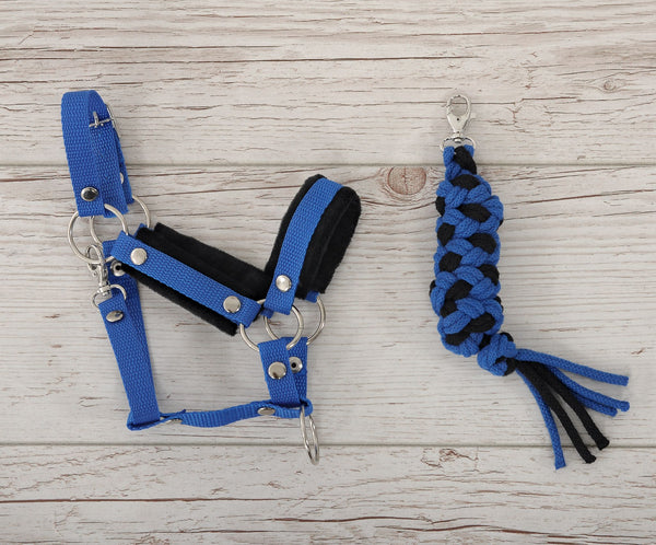 Keppihevosen Riimu + Riimunnaru A3 - Blue