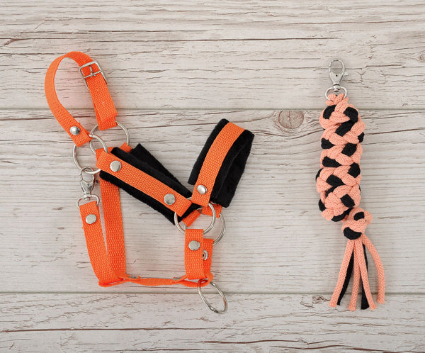 Keppihevosen Riimu + Riimunnaru A3 - Orange