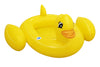 Bestway 34151 -lautanen, jossa on ankka-aiheinen muotoilu. Koko 102cm x 99cm. Tuotteessa on äänitoiminto.