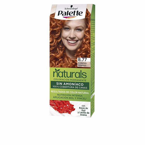 Palette natural väriaine #8.77-intensiivinen kupari 1 kpl - PALETTE