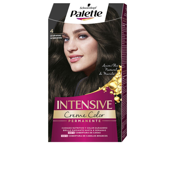 Palette intensive väriaine #4-tumma kastanja 1 kpl - PALETTE