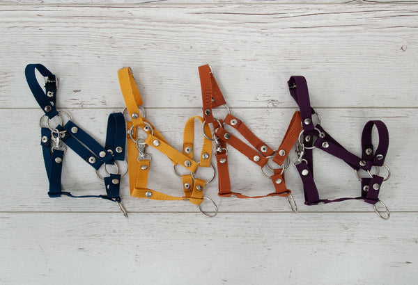 Keppihevosen Hihnat A3 - Denim