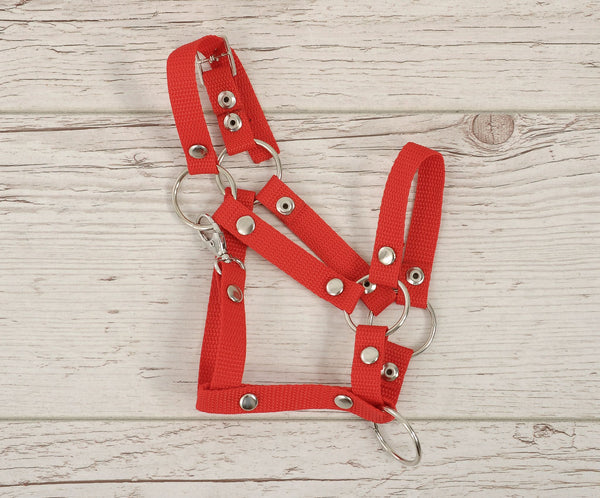 Keppihevosen Hihnat A3 - Red