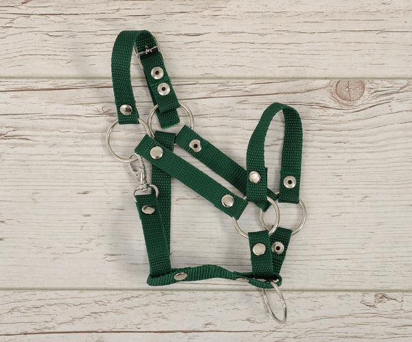 Keppihevosen Hihnat A3 - Bottle Green