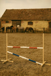 Kepparieste 160cm kahdella tangolla - Red and blue
