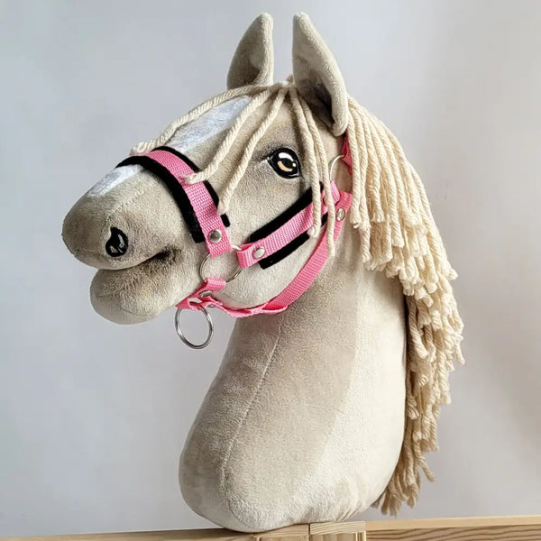 Hobby Horse