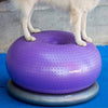 FitPAWS Lemmikin tasapainopallo Trax Donut 55 cm violetti