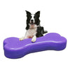 FitPAWS Lemmikin tasapainoalusta Giant K9FITbone PVC violetti