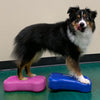 FitPAWS Lemmikin tasapainoalusta Mini K9FITbone 2 kpl 29x16,5x6cm sin.