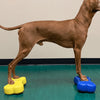 FitPAWS Lemmikin tasapainoalusta Mini K9FITbone 2 kpl 29x16,5x6cm sin.