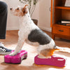 FitPAWS Lemmikin tasapainoalusta Mini K9FITbone 2 kpl 29x16,5x6 cm