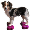 FitPAWS Lemmikin tasapainoalusta Mini K9FITbone 2 kpl 29x16,5x6 cm