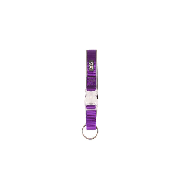 Ladattava Koiran Kaulapanta Valolla, Purppura