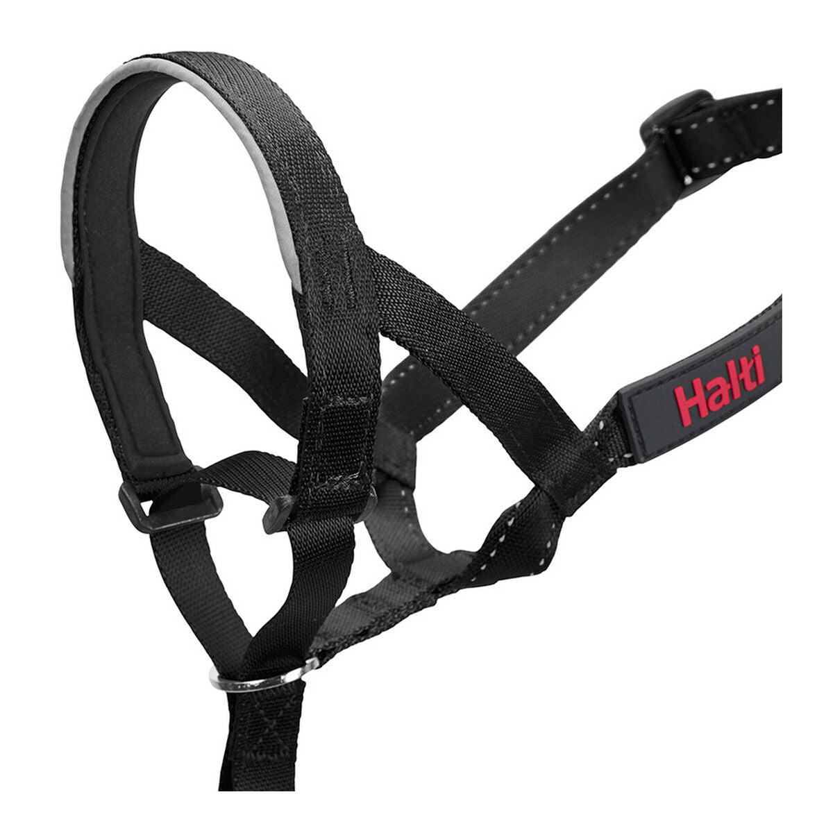 Harjoittelukauluri koiralle Halti Musta