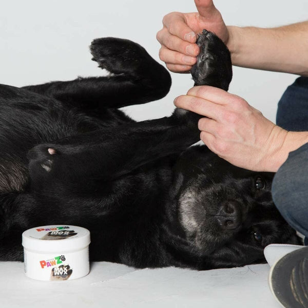 Pawz MAXWAX Mehiläisvaha Tassuille 200g