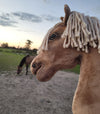 Premium Keppihevonen / Hobby Horse - Palomino A3