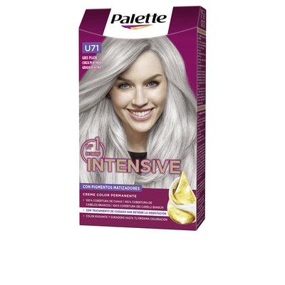 Palette Intensive Dye #U71-Silver Gray