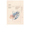 Ondo Beauty 36.5 - Hyaluronic Acid &amp; Algae Moisture boosting mask 25 ml