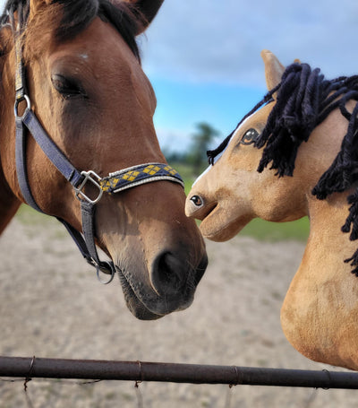 Premium Keppihevonen / Hobby Horse - Buckskin horse A3