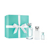 Tiffany &Amp; Co 3-Piece Case