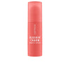 Blushin' Charm Multipurpose Stick #020-Coral Cutie 5.50 Gr