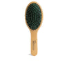 Oval Brush Double Bristle Brush 1 Unit