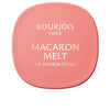 Bourjois - Macaron Melt blush for cheeks and lips #2-Honey Nougat 8 gr