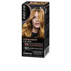 Syoss - Permanent Color #8.7-Rub Dorad Caramelo 1 u