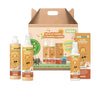 Nosa - Protect Against Nits and Lice, Peach, 4 pcs