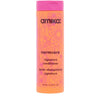 Amika - Normcore antioxidant conditioner 60 ml