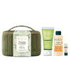 Beauterra - Restful Rest Set 4 pc