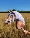 Premium Keppihevonen / Hobby Horse - Tobiano bay white A3