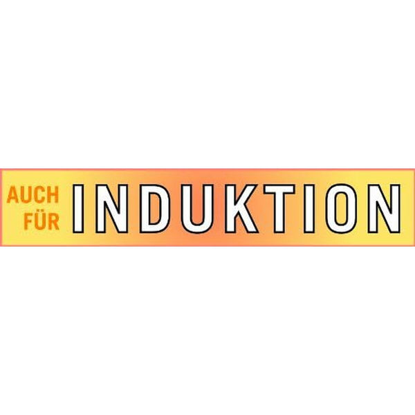 GSW Ruostumaton Teräskattila ja Kori Ø 22 cm Hopea