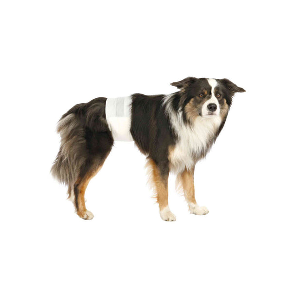 Trixie koiran vaipat S-M