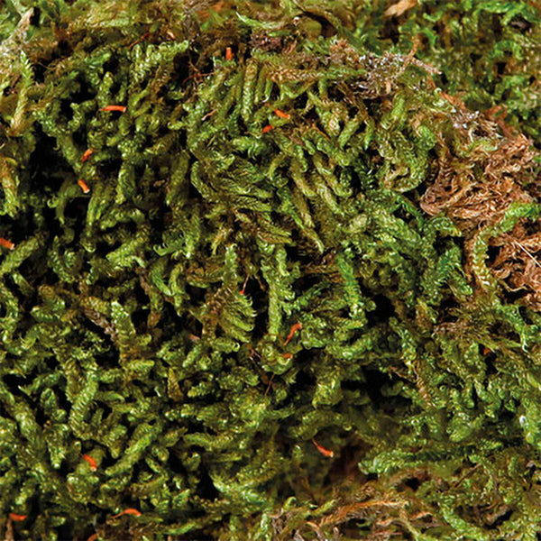 Trixie Sammalsubstraatti Liskoille 200 g