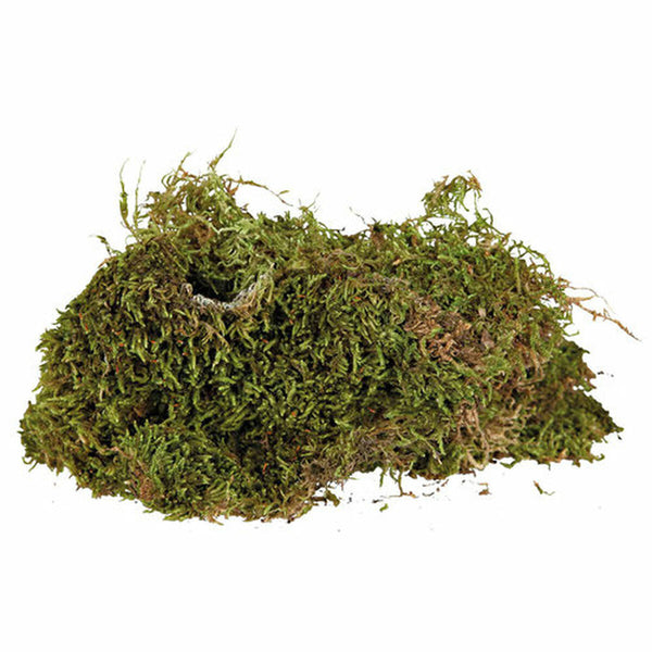Trixie Sammalsubstraatti Liskoille 200 g